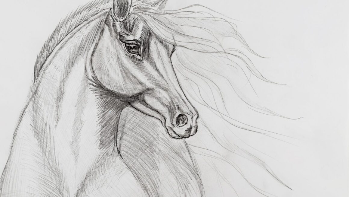 drawing:v74uyhgg9tq= horse